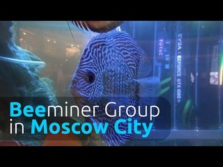 Встречайте Beeminer Group в Moscow City!