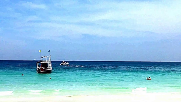 Koh