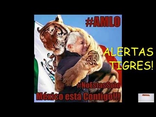 URGENTE, ALERTAS TIGRES!