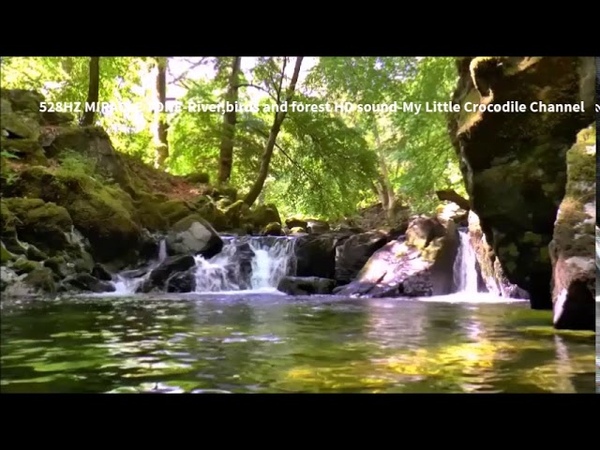 528 Hz Miracle Tone River, birds forest sound HD No Headphones Required 4