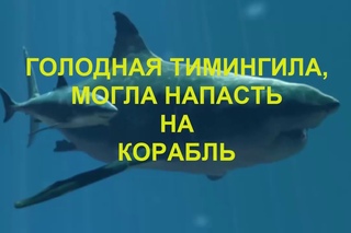 БЫСТВОРЪ. Дисковая Земля. ТИМИНГИЛА.(TIMINGILA)