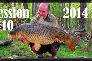 Delkim Run 2014 Carp Fishing 29lb Common CC Moore Live System Session