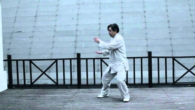 陳小星 Chen Xiao Xing, Taijiquan Old and New Frame