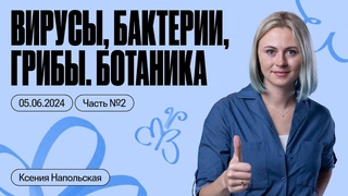 Вирусы, бактерии, грибы. Ботаника | Интенсив Мясорубка 2024 | День 5 | Часть 2