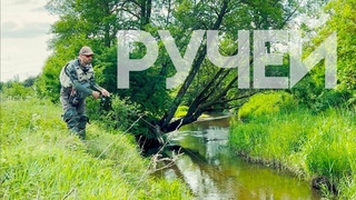 Микроречка полна ГОЛАВЛЯ!