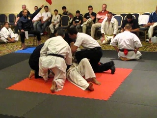 Kyokushin 4 second KO