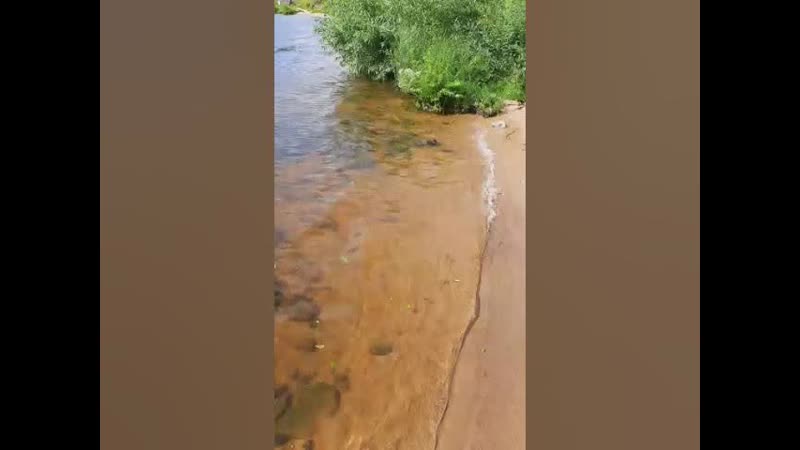 эфир из перископа. Летняя красота. Небо перед грозой.