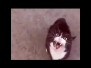 scrmngct