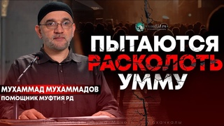 Пытаются расколоть Умму