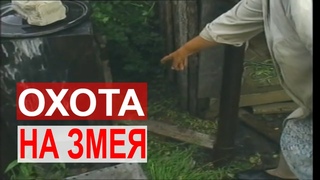 Охота на змею на улице  Керженская / Вечер Трудного Дня