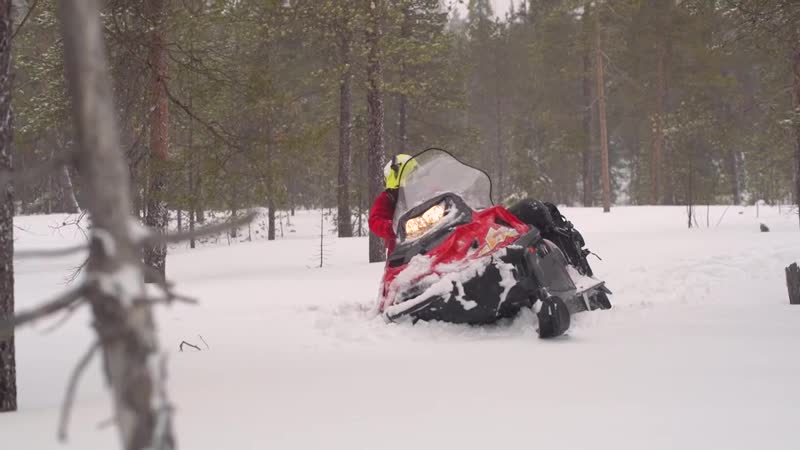 SWT 800 реальный