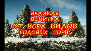 Великая Вычитка от Всех видов Годовых порч!📯