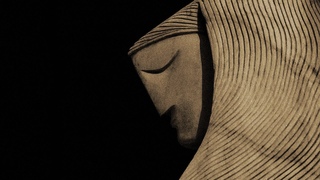 Yew - Mold
