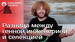Почему ни одна страна до сих пор не отказалась от предрассудков в отношении ГМО | Варламов