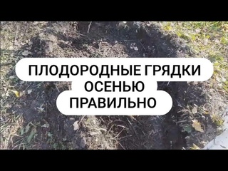Плодородные грядки правильно осенью.