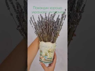 Букет Лавандина/Сухоцветы/Травы Горного Крыма
