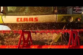 Слактис МТК
