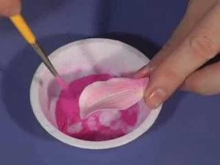 Cake Decorating-“Sugar Orchids“-Scott Clark Woolley