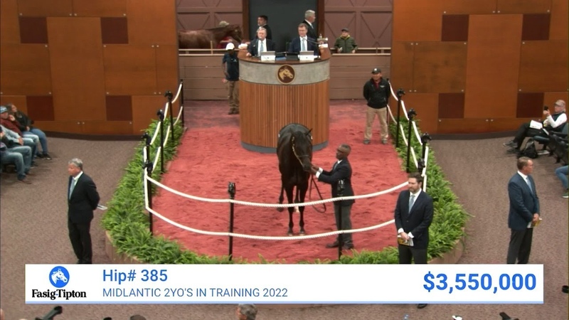 Bernardini colt sells for RECORD 3, 550, 000 at Midlantic Two Year Olds in Training