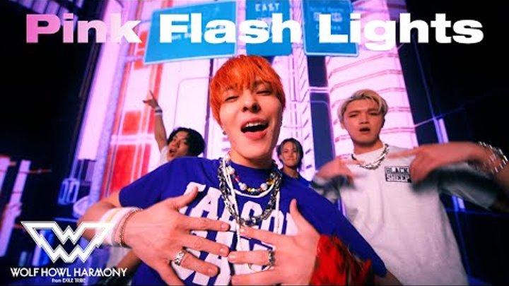 WOLF HOWL HARMONY, Pink Flash Lights Music