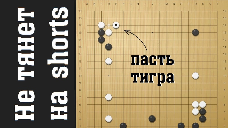 Не суй руку в пасть
