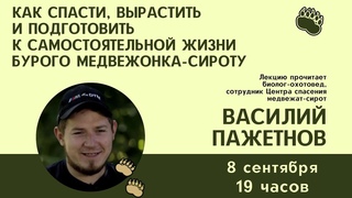 Как спасти, вырастить и подготовить к самостоятельной жизни медвежёнка-сироту