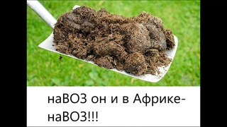 ПL@ ндемичеSкое соглашение наВОЗа-это к@юк ❗❗❗ Нельзя допустить этого!!!🛑🛑🛑