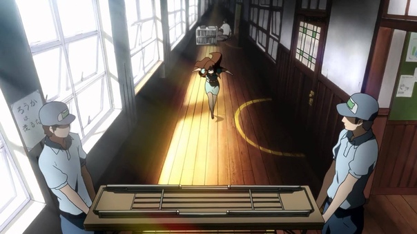 AMV Ho Kago