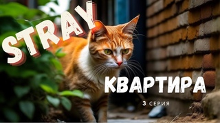 Stray #3 Квартира - Путь на верх к Аутсайду и новое знакомство