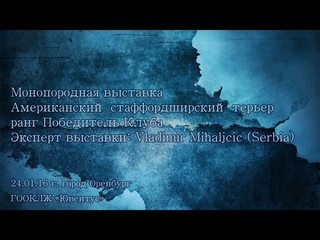 Монопородная выставка АСТ, , Оренбург. Ветеран.