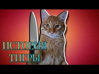 ИСТОРИЯ ТИГРЫ