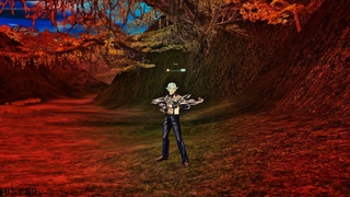 HUNTER - Shaiya