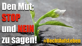 Den Mut; STOP und NEIN zu sagen #RechtAufsLeben