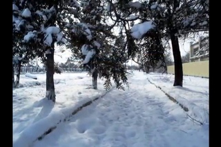 Зима в Новоселицком