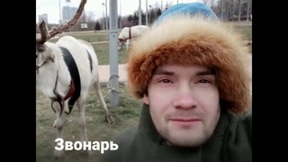 КОЛОКОЛА ТВ Центр Прогресса Бокса Рождественские Приключения