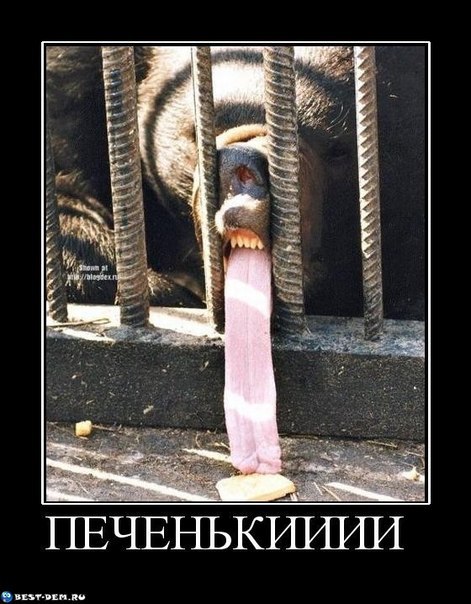 Андрей Семенишен | Москва