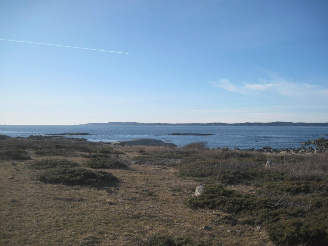 Елена Карлсен | Tønsberg