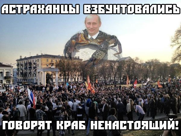 Дамир Галлямов | Санкт-Петербург