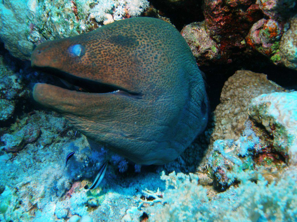 Леонид Сандалов | Санкт-Петербург