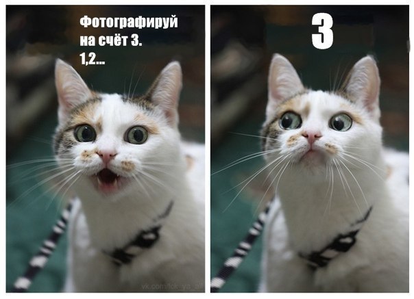 Оля Синица | Киев