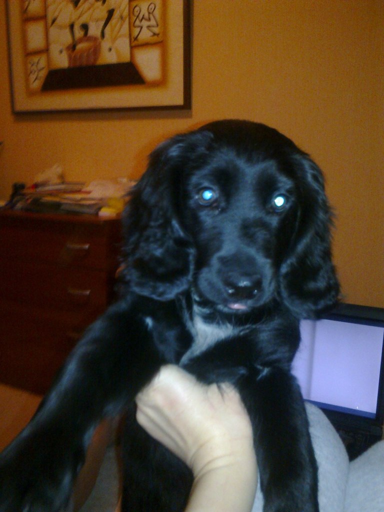 Марина Бобкова-Бессонова | Москва