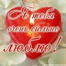 Фотография Ксения Макарова