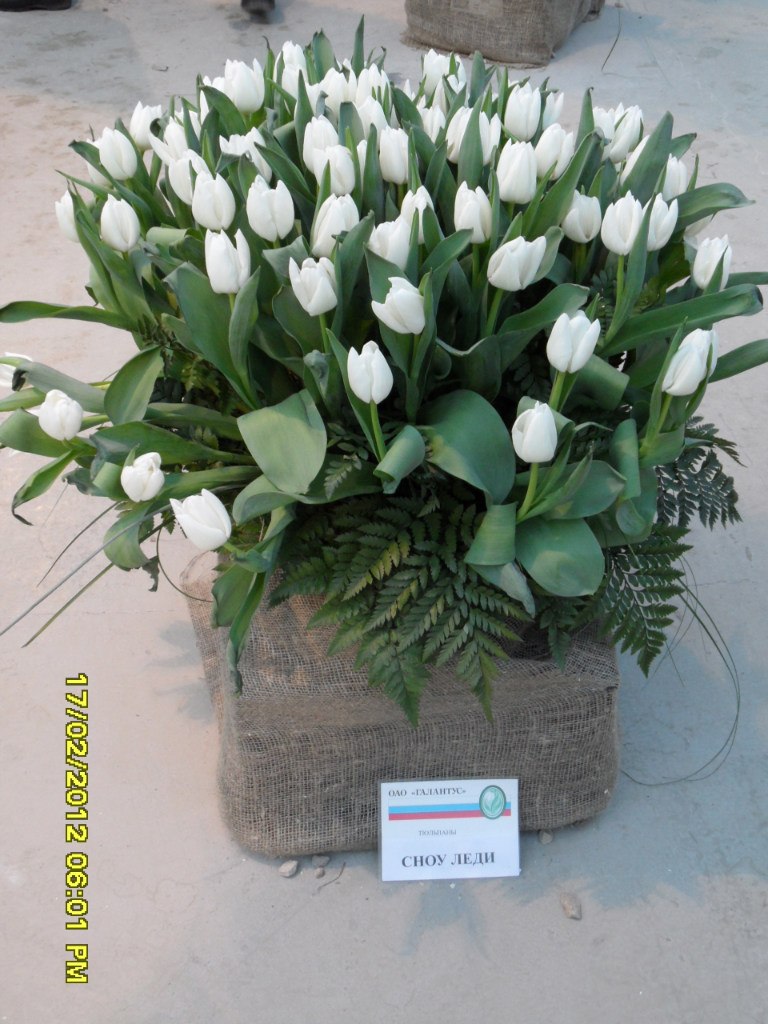 Инна Ахтименко | Калуга