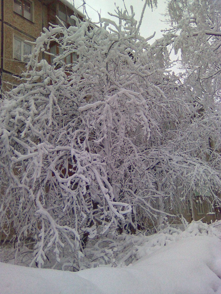 Наталья Хаткевич | Санкт-Петербург