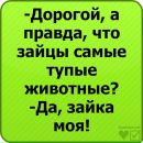 №23 Марина Тимофеева 16.06.1999: профиль, фото, статус - ВКонтакте №23 Марина Тимофеева 16.06.1999: профиль, фото, статус - ВКонтакте