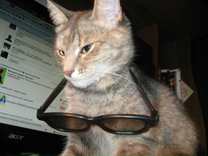 Макс Лайто xLaytOx | Москва