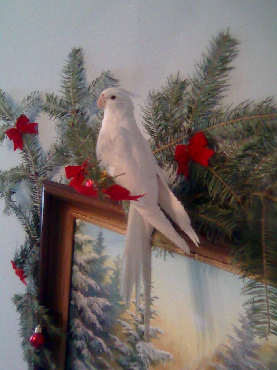 Наталя Рідна | 