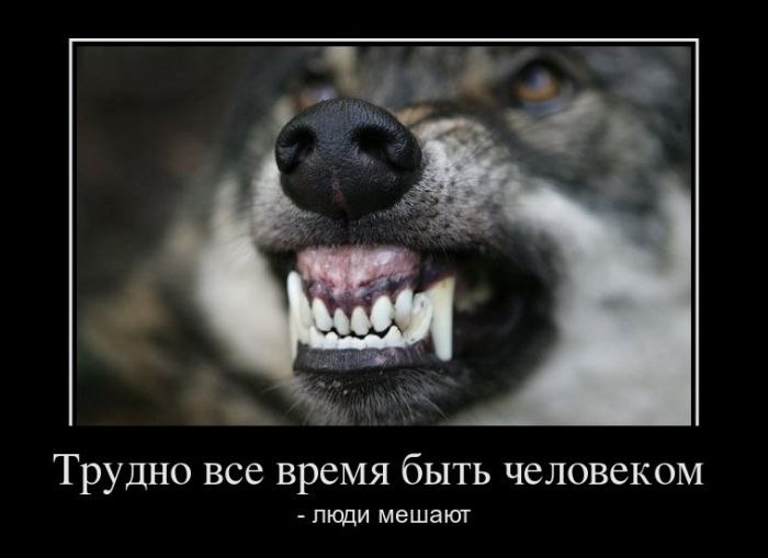 Максим Хаврель | Черкассы