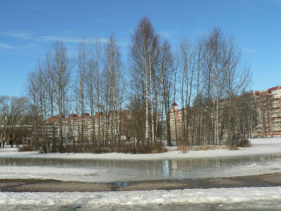 Ольга Петрова | Санкт-Петербург