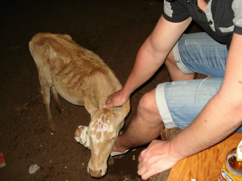 Денис Ничаев N!CH | Таганрог